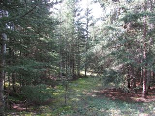 Photo 18: 108 32433 Range Road 61: Rural Mountain View County Residential Land for sale : MLS®# A1254404
