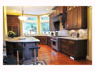 Photo 2: 1255 BURKE MOUNTAIN Street in Coquitlam: Burke Mountain House for sale : MLS®# V815696