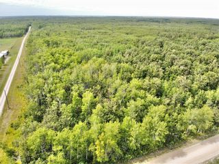 Photo 5: 1 40E Road in Ste Anne Rm: Vacant Land for sale : MLS®# 202319646