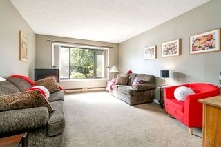 Photo 3: 1057 LOMBARDY Drive in Port Coquitlam: Lincoln Park PQ 1/2 Duplex for sale in "LINCOLN PARK" : MLS®# R2305959