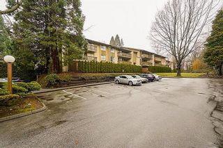 Photo 16: 312 10061 150 Street in Surrey: Guildford Condo for sale in "FOREST MANOR" (North Surrey)  : MLS®# R2652400