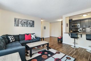 Photo 11: 603 317 14 Avenue SW in Calgary: Beltline Apartment for sale : MLS®# A2014163