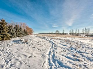 Photo 39: 333072 Range Road 263: Rural Kneehill County Detached for sale : MLS®# A1056668