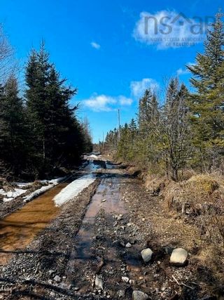 Photo 2: Lot R-8 Road in New Chester: 303-Guysborough County Vacant Land for sale (Highland Region)  : MLS®# 202405530