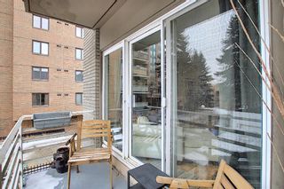 Photo 18: 303 215 25 Avenue SW in Calgary: Mission Apartment for sale : MLS®# A1063932