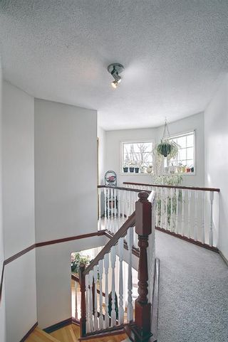 Photo 18: 60 Country Hills Grove NW in Calgary: Country Hills Detached for sale : MLS®# A1074597