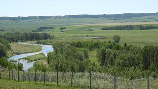 Photo 8: SW 36-20-2W5: Rural Foothills County Residential Land for sale : MLS®# A1231138