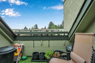 Photo 23: 416 1210 PACIFIC Street in Coquitlam: North Coquitlam Condo for sale : MLS®# R2821421