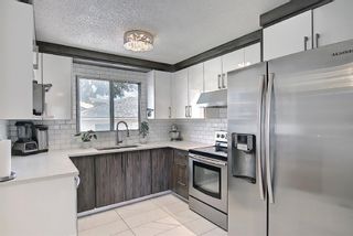 Photo 3: 3403 48 Street NE in Calgary: Whitehorn Detached for sale : MLS®# A1142698