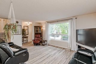 Photo 6: 236 Pinecliff Way NE in Calgary: Pineridge Detached for sale : MLS®# A2077725