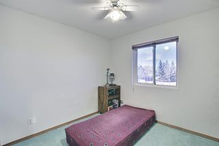 Photo 22: 351 Applewood Drive SE in Calgary: Applewood Park Detached for sale : MLS®# A1094539