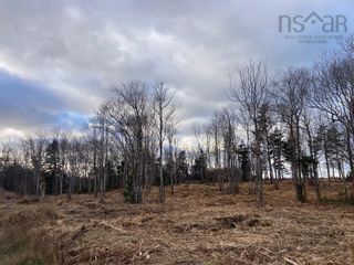Photo 4: Lot 6 Shore Road in Ponds: 108-Rural Pictou County Vacant Land for sale (Northern Region)  : MLS®# 202227520