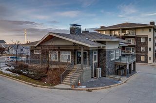 Photo 33: 424 11 MILLRISE Drive SW in Calgary: Millrise Apartment for sale : MLS®# A1197932