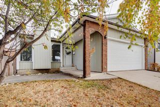 Photo 29: 192 Whitaker Close NE in Calgary: Whitehorn Detached for sale : MLS®# A2007520