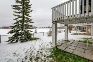 Photo 30: 136 Citadel Crest Circle NW in Calgary: Citadel Detached for sale : MLS®# A2130274