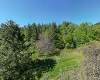 Photo 11: Lot C VICTORIA AVENUE in Kaslo: Vacant Land for sale : MLS®# 2476304