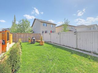 Photo 33: 129 EVANSCOVE Circle NW in Calgary: Evanston House for sale : MLS®# C4185596
