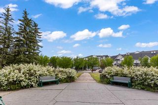 Photo 31: 319 8 Prestwick Pond Terrace SE in Calgary: McKenzie Towne Apartment for sale : MLS®# A2143732