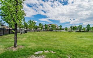 Photo 24: 3401 95 Burma Star Road SW in Calgary: Currie Barracks Apartment for sale : MLS®# A2121917