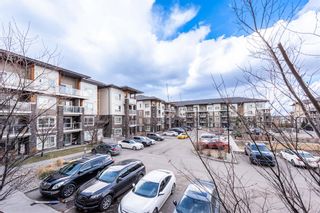 Photo 31: 3212 240 skyview ranch Road NE in Calgary: Skyview Ranch Apartment for sale : MLS®# A2039693
