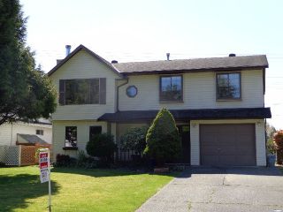 Photo 1: 20926 95A AV in Langley: Walnut Grove House for sale : MLS®# F1309921