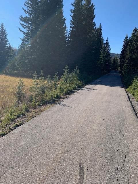 Main Photo: 231057 Rge Rd 54: Bragg Creek Residential Land for sale : MLS®# A1118605