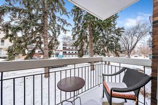 Photo 18: 206 110 24 Avenue SW in Calgary: Mission Apartment for sale : MLS®# A2113004