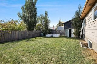 Photo 33: 11 Deerfield Circle SE in Calgary: Deer Ridge Detached for sale : MLS®# A2080901