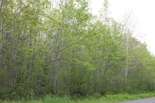 Photo 2: Lot Greenland in Greenland: 400-Annapolis County Vacant Land for sale (Annapolis Valley)  : MLS®# 201917847