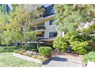 Photo 10: 205 707 GLOUCESTER Street in New Westminster: Uptown NW Condo for sale in "ROYAL MEWS" : MLS®# V975010