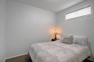 Photo 38: 154 Bridlewood Way SW in Calgary: Bridlewood Detached for sale : MLS®# A1231310