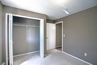 Photo 19: 4219 4975 130 Avenue SE in Calgary: McKenzie Towne Apartment for sale : MLS®# A1234393