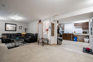 Photo 19: 442 Elgin Way SE in Calgary: McKenzie Towne Detached for sale : MLS®# A1222284