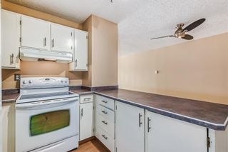 Photo 8: 206 659 4 Avenue NE in Calgary: Bridgeland/Riverside Apartment for sale : MLS®# A2044851