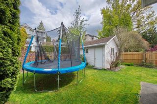 Photo 40: 34229 RENTON Street in Abbotsford: Central Abbotsford House for sale : MLS®# R2684804