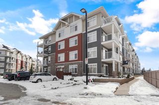 Photo 4: 6304 155 Skyview Ranch Way NE in Calgary: Skyview Ranch Apartment for sale : MLS®# A2124102