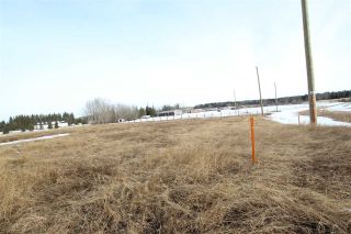 Photo 4: 8 53319 RGE RD 275: Rural Parkland County Rural Land/Vacant Lot for sale : MLS®# E4267975