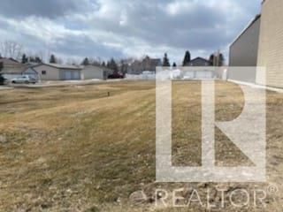 Photo 3: 9808 100 Street: Morinville Land Commercial for sale : MLS®# E4285647