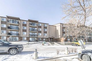 Main Photo: 181 8948 Elbow Drive SW in Calgary: Haysboro Apartment for sale : MLS®# A2110673