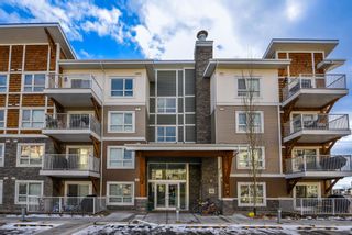 Photo 1: 3314 302 Skyview Ranch Drive NE in Calgary: Skyview Ranch Apartment for sale : MLS®# A1184258
