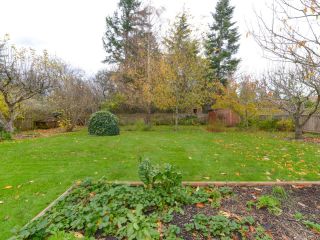 Photo 39: 353 Pritchard Rd in COMOX: CV Comox (Town of) House for sale (Comox Valley)  : MLS®# 747217