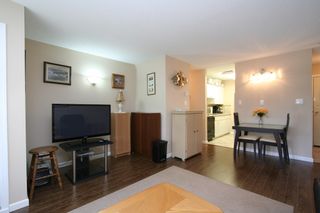 Photo 5: 207 4950 MCGEER Street in Vancouver: Collingwood VE Condo for sale in "Carleton" (Vancouver East)  : MLS®# V974793