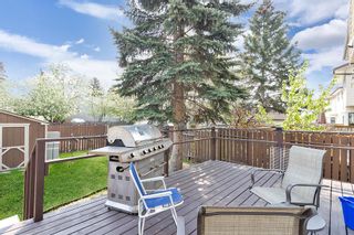 Photo 8: 52 Templeby Way NE in Calgary: Temple Detached for sale : MLS®# A2053536