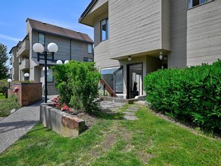 Photo 22: 124 1363 CLYDE Avenue in West Vancouver: Ambleside Condo for sale in "Place Fourteen" : MLS®# R2895608