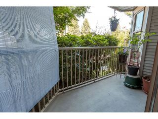 Photo 20: # 101 10756 138TH ST in Surrey: Whalley Condo for sale (North Surrey)  : MLS®# F1444754