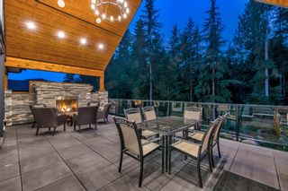 Photo 11: Luxury Maple Ridge Home