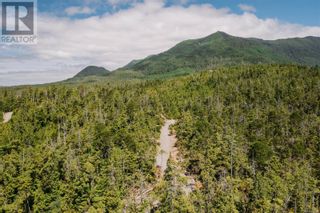 Photo 1: LOT B Hawkes Rd in Ucluelet: Vacant Land for sale : MLS®# 956705