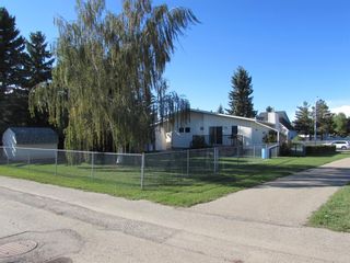 Photo 29: 1433 Idaho Street: Carstairs Detached for sale : MLS®# A1147289