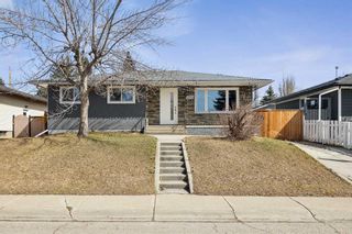 Photo 1: 1040 Mackid Road NE in Calgary: Mayland Heights Detached for sale : MLS®# A2121575