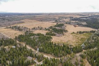 Photo 15: 64049 (A&B) Highway 54: Rural Clearwater County Agriculture for sale : MLS®# A1209840